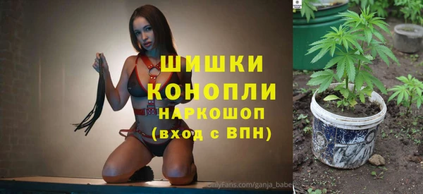 мет Алексин