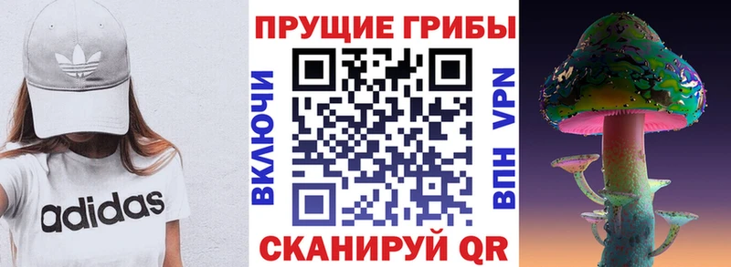 наркота  hydra   Псилоцибиновые грибы Psilocybe  Кемерово 