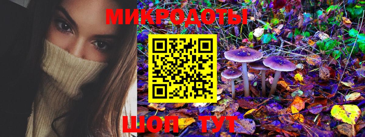 где купить наркоту  Вход с VPN  Кемерово  Псилоцибиновые грибы MAGIC MUSHROOMS 