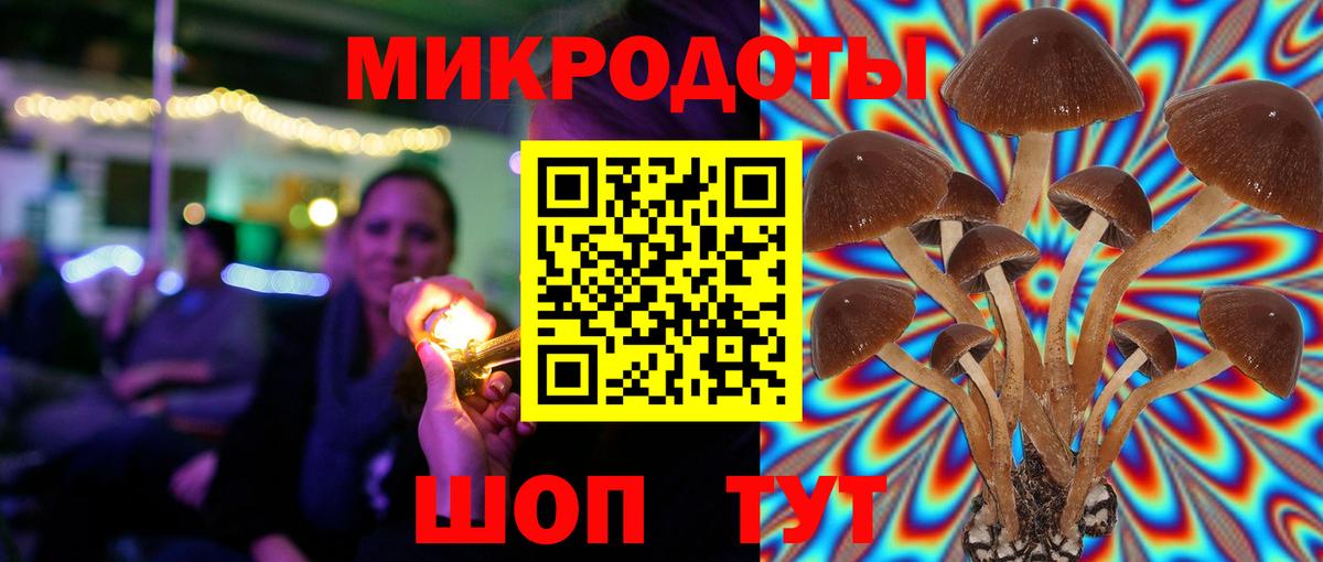 Псилоцибиновые грибы прущие грибы Кемерово